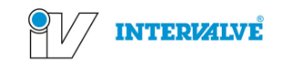 Intervalve India